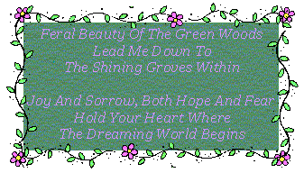 click to enter Tir na Nog
