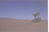 Foto del deserto