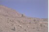 Foto del deserto
