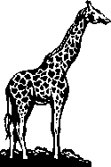 girafa
