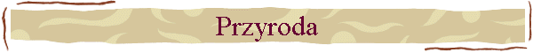 Przyroda