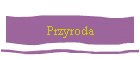 Przyroda