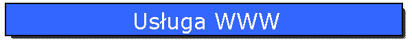Usuga WWW