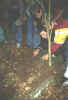 zd6.jpg (32027 bytes)