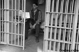 I've been disruptive again