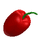 One hot pepper