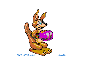 Boxing roo