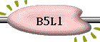 B5L1