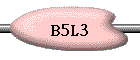 B5L3