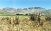 Typical African countryside..