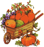 wheelbarrow full of vegetables and pumpkins