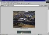 Lee Gaylord web site