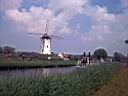 Image-04.JPG