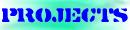 projects and assignments undertaken