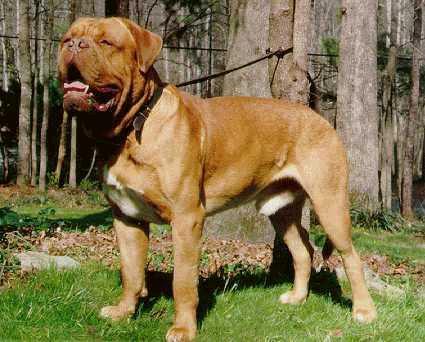 Wych. Oscar Van Alcarinque