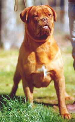 Park Ave's Vipor...sister of Chabaca -brother to Macho