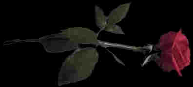 rose1.jpg (3445 bytes)
