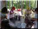 Camporee