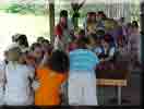 Camporee