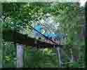 Camporee