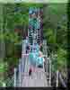 Camporee