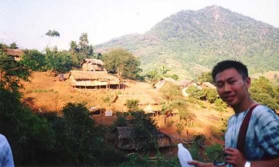 Loiuse lim.jpg (39939 bytes)