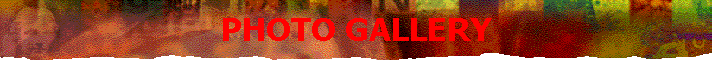 phog.gif