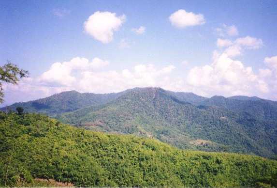 scenery 3.jpg (41955 bytes)