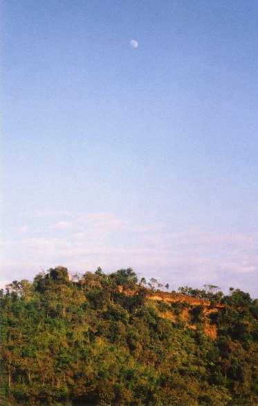MU-scenery 4.jpg (33175 bytes)