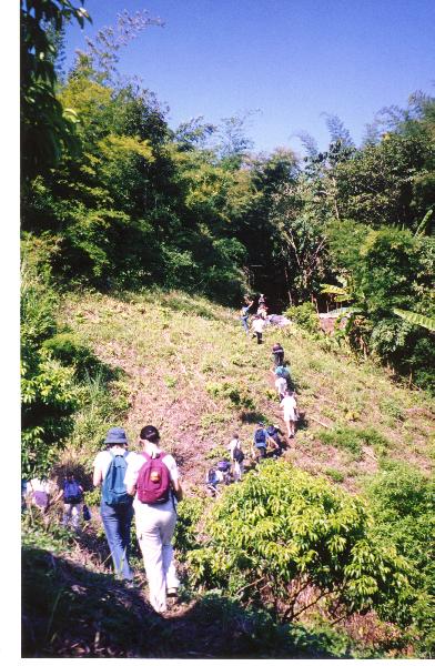 treking...jpg (76187 bytes)