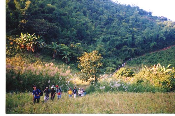 Coming down frm the village.jpg (60997 bytes)