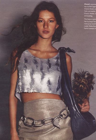 BabeStop - World's Largest Babe Site - gisele_bundchen012.jpg