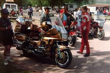 Goldene Gold Wing