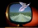 'Escape to Freedom'