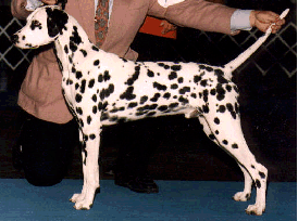 Prince