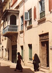 tazanz2.jpg (14292 bytes)