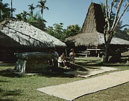 insbvil1.jpg (18627 bytes)