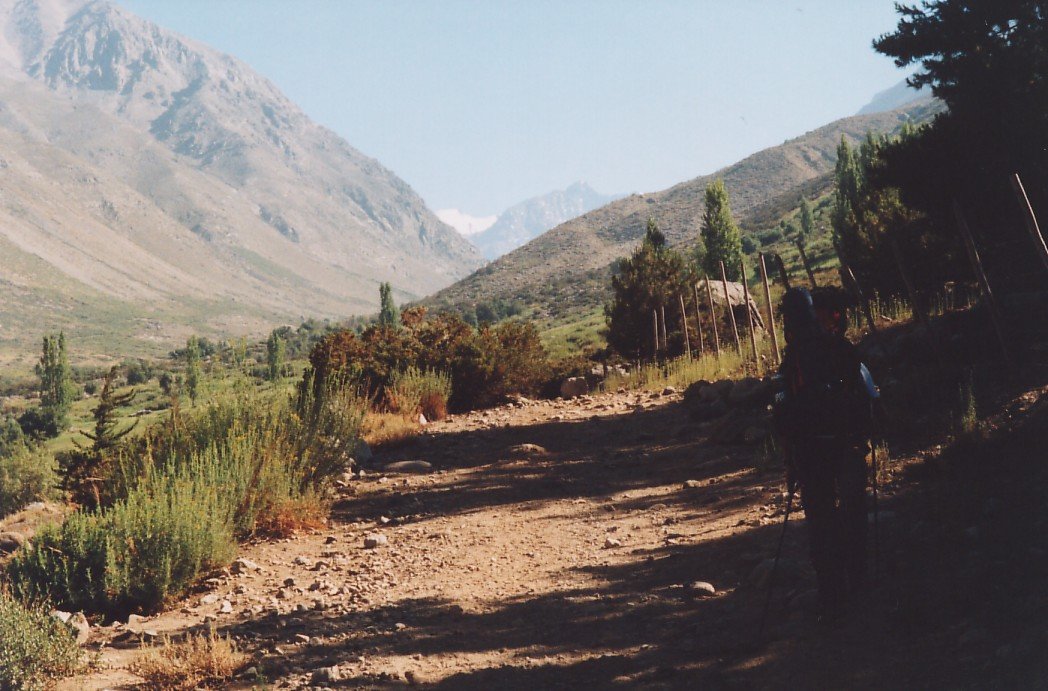 Photograph