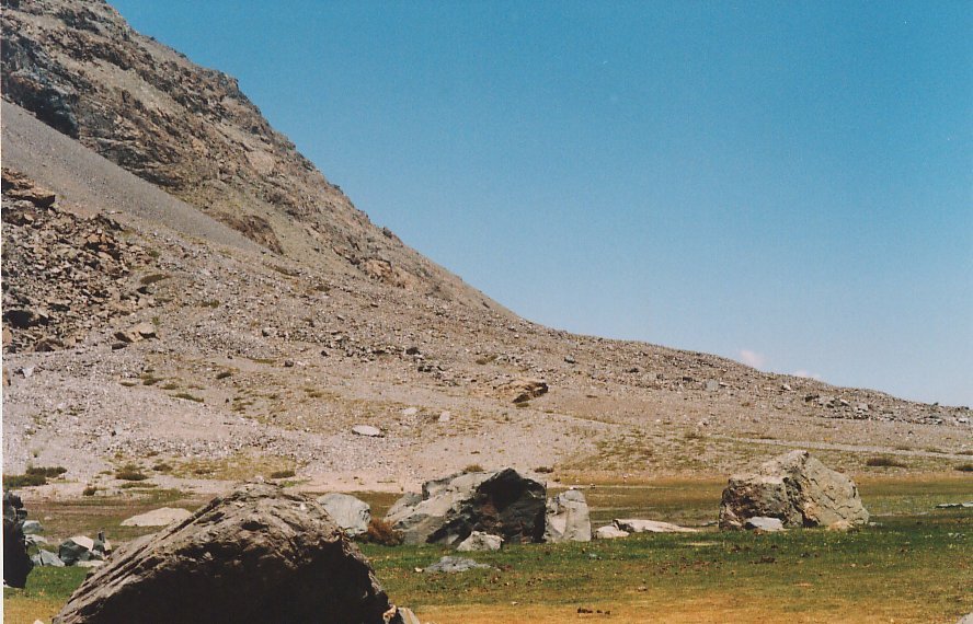 Photograph