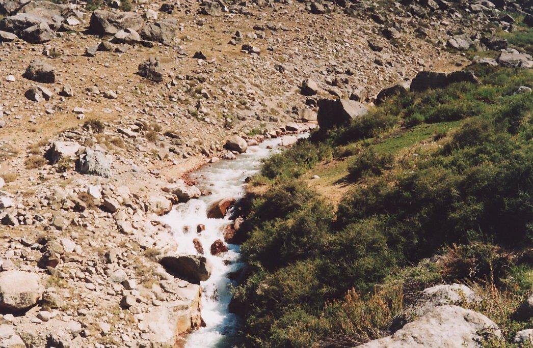 Photograph
