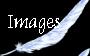 Image Gallery