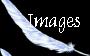 Image Gallery
