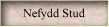 Nefydd Stud