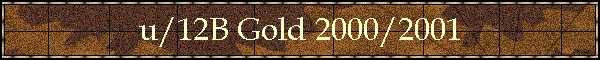 u/12B Gold 2000/2001