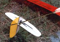 aspen8sm.jpg