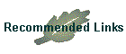 Recommended Links