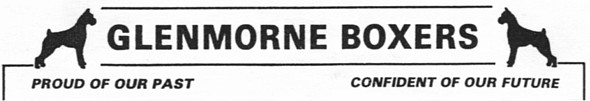 Glenmorne Boxers Logo