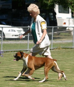 A young Justin on the move