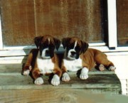 Glenmorne brother and sister