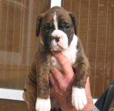 Emily Jane at 4 weeks